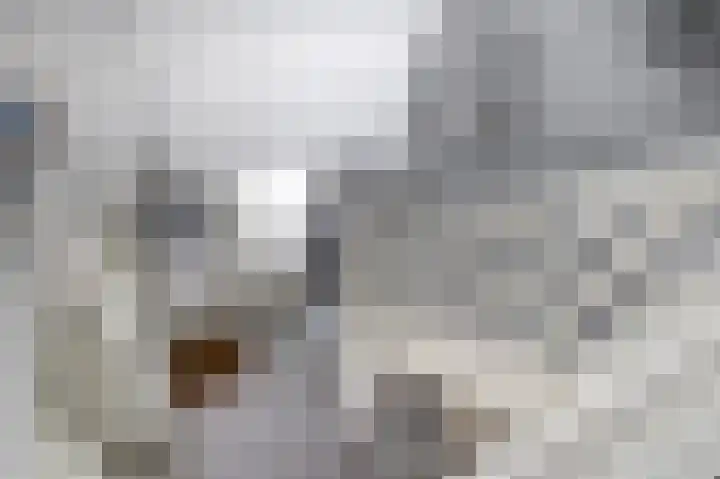 Boven Veensloot 23 Meeden thumbnail 24