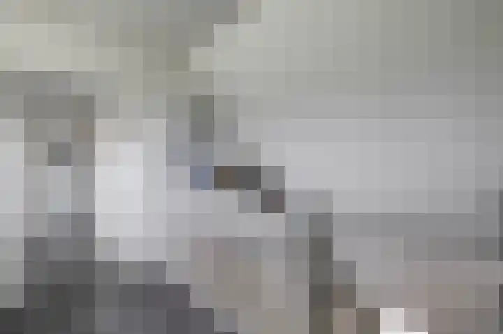 Boven Veensloot 23 Meeden thumbnail 25