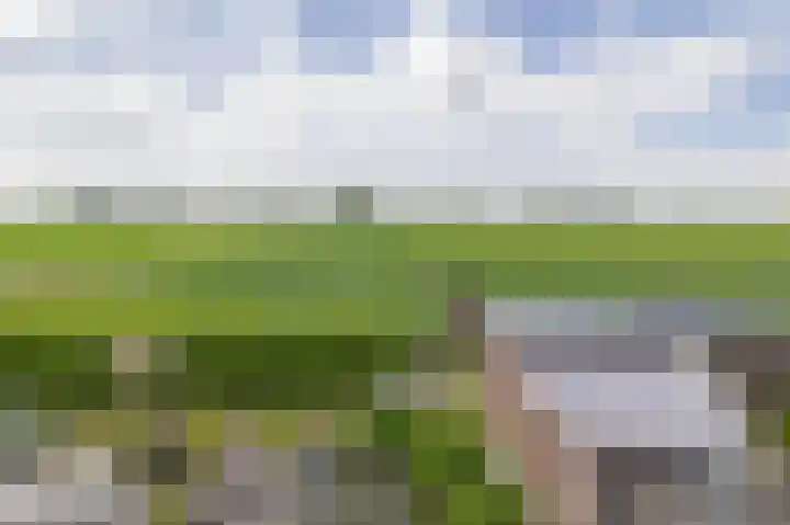 Boven Veensloot 23 Meeden foto 3