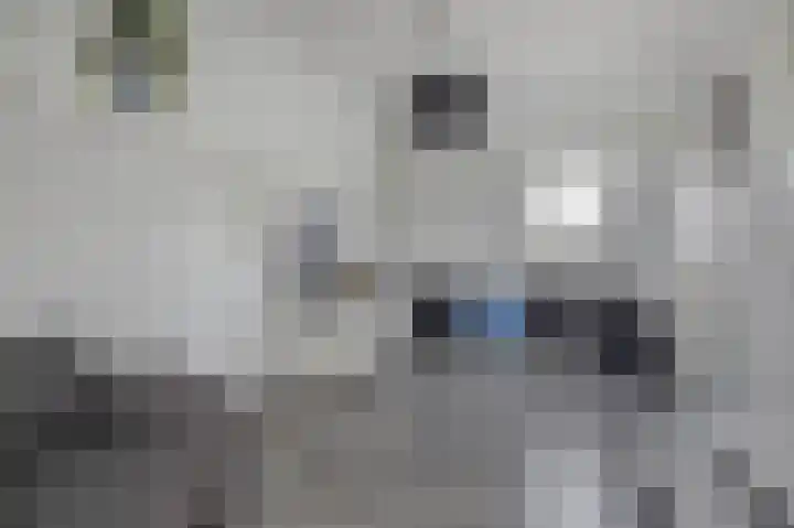 Boven Veensloot 23 Meeden thumbnail 30