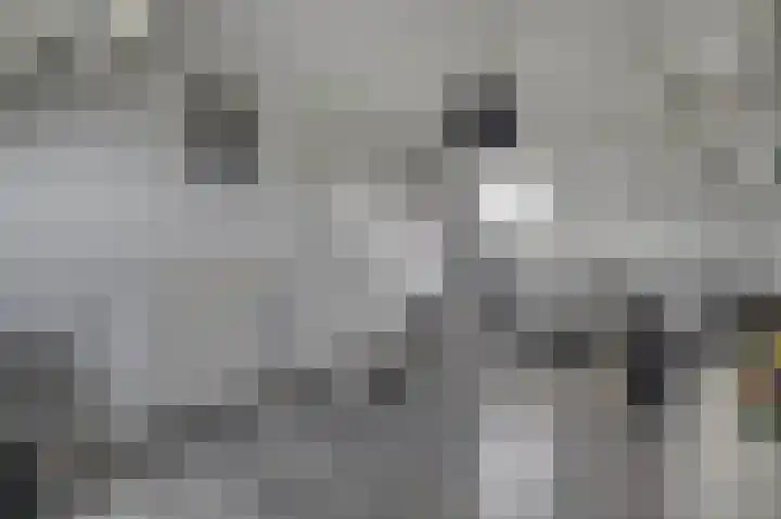 Boven Veensloot 23 Meeden thumbnail 31