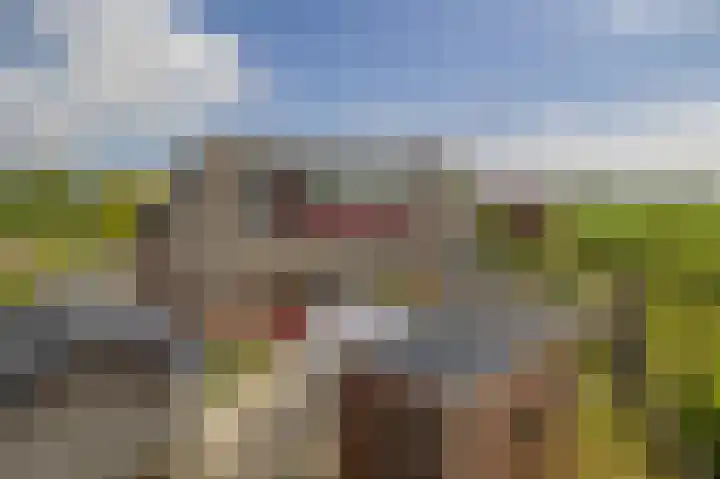 Boven Veensloot 23 Meeden thumbnail 35
