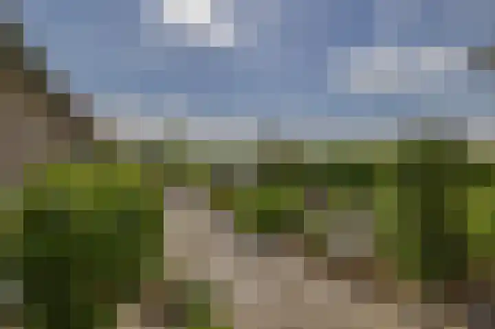 Boven Veensloot 23 Meeden thumbnail 37