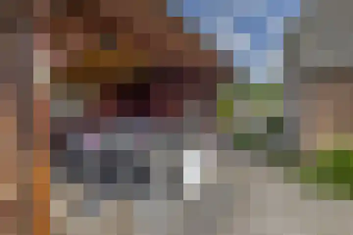 Boven Veensloot 23 Meeden thumbnail 39