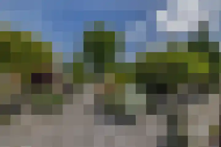 Boven Veensloot 23 Meeden thumbnail 4