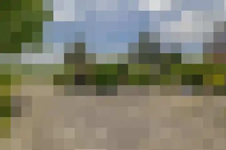 Boven Veensloot 23 Meeden thumbnail 41