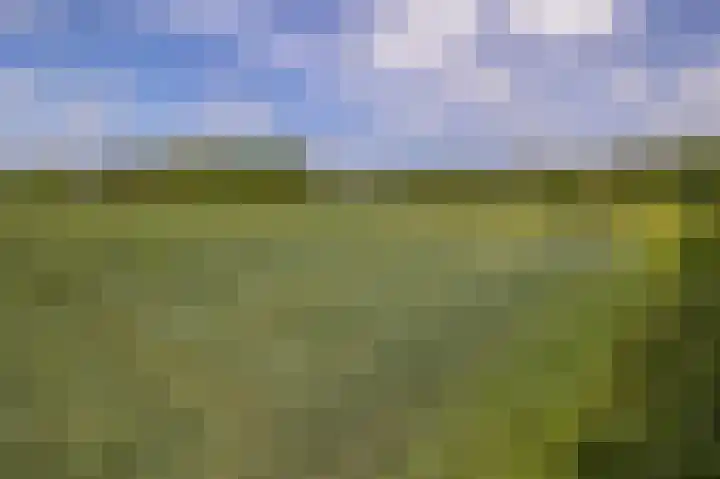 Boven Veensloot 23 Meeden thumbnail 43