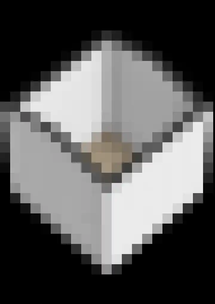 Boven Veensloot 23 Meeden thumbnail 53