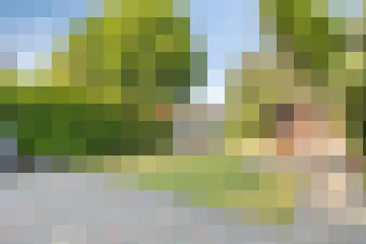 Boven Westerdiep 124 Veendam thumbnail 32