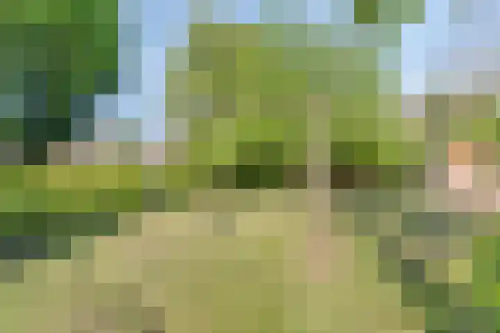 Boven Westerdiep 124 Veendam thumbnail 35