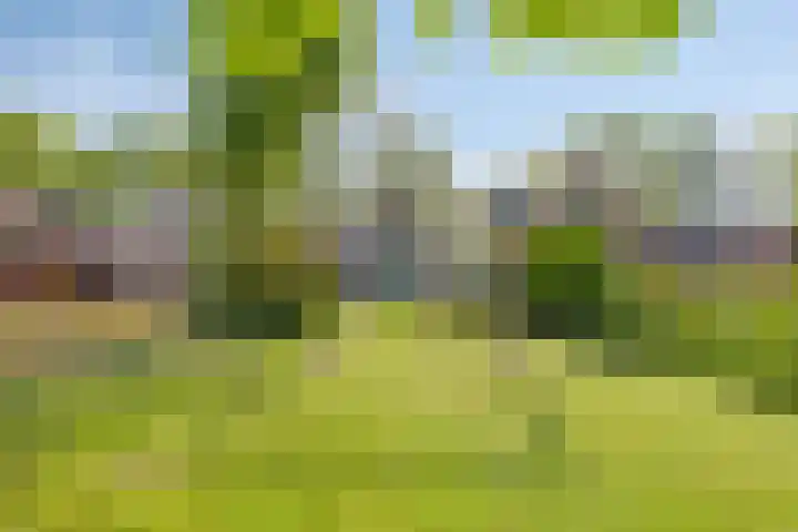 Boven Westerdiep 124 Veendam thumbnail 36