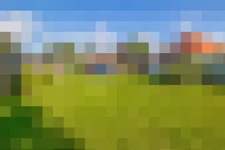 Boven Westerdiep 162 Veendam thumbnail 29