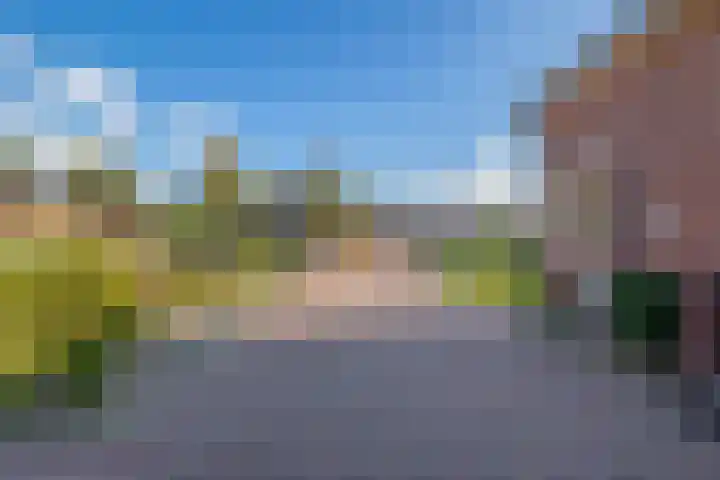 Boven Westerdiep 162 Veendam thumbnail 34