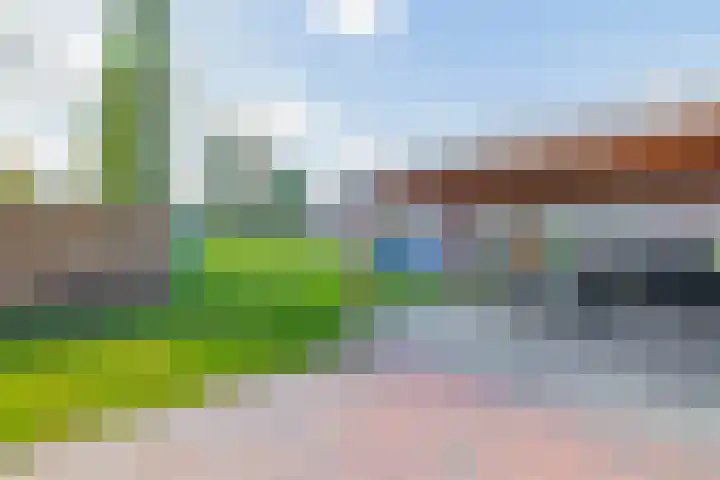 Boven Westerdiep 162 Veendam thumbnail 5