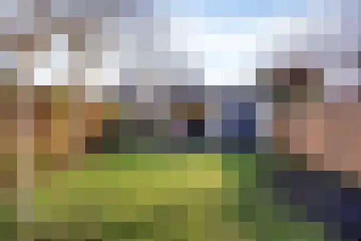 Boven Westerdiep 171 Veendam thumbnail 42
