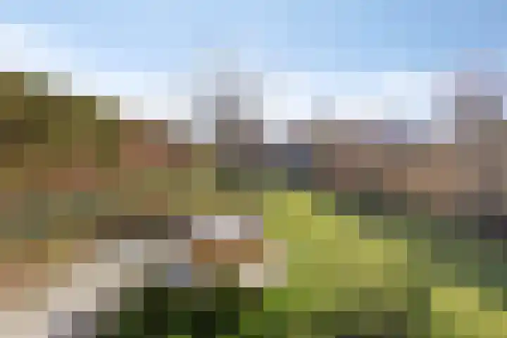 Boven Westerdiep 171 Veendam thumbnail 6