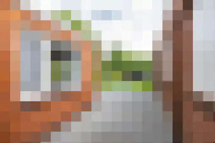 Boven Westerdiep 193 Veendam thumbnail 37