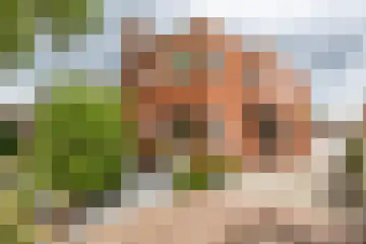 Boven Westerdiep 193 Veendam thumbnail 4