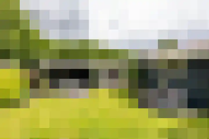 Boven Westerdiep 193 Veendam thumbnail 40