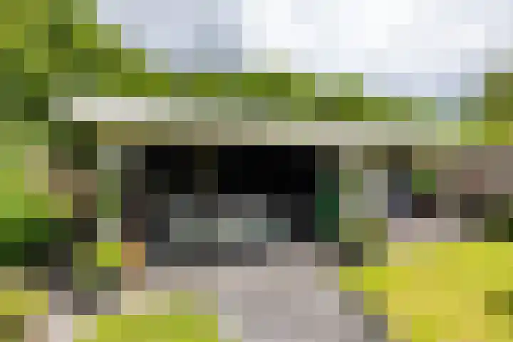 Boven Westerdiep 193 Veendam thumbnail 41