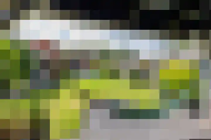 Boven Westerdiep 193 Veendam thumbnail 43