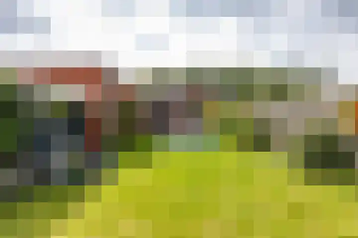 Boven Westerdiep 193 Veendam thumbnail 44