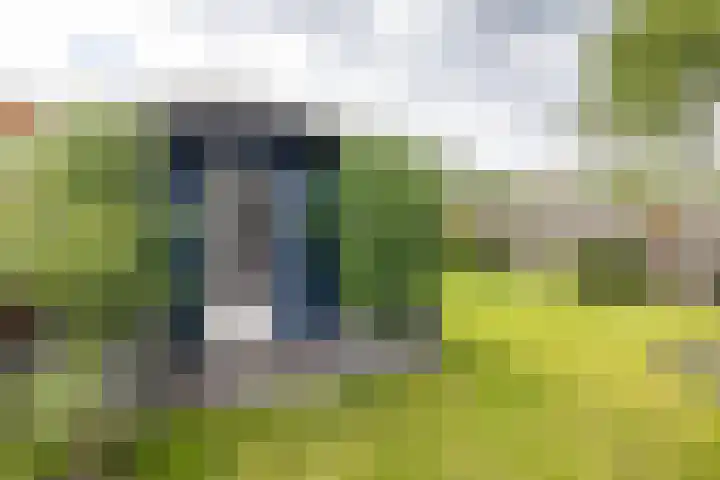Boven Westerdiep 193 Veendam thumbnail 45
