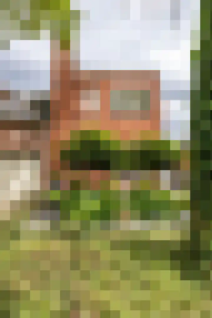 Boven Westerdiep 193 Veendam thumbnail 5