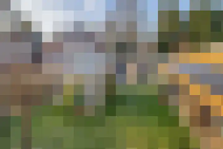 Boven Westerdiep 279 Veendam thumbnail 42