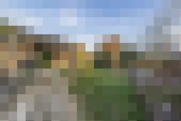 Boven Westerdiep 279 Veendam thumbnail 46