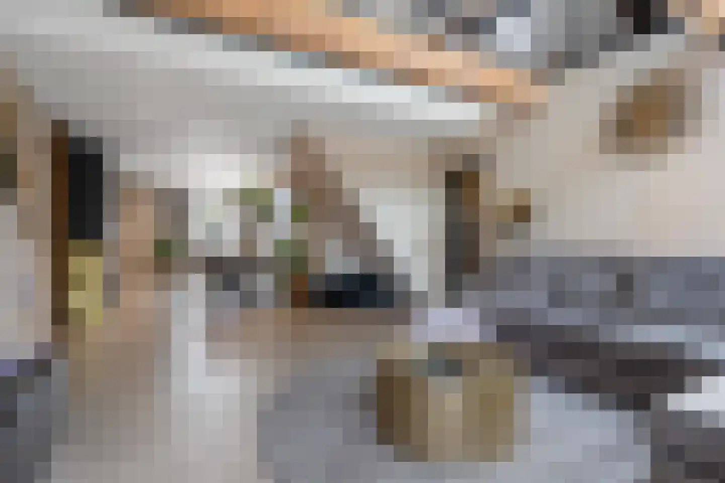 Boven Westerdiep 55 Veendam thumbnail 10