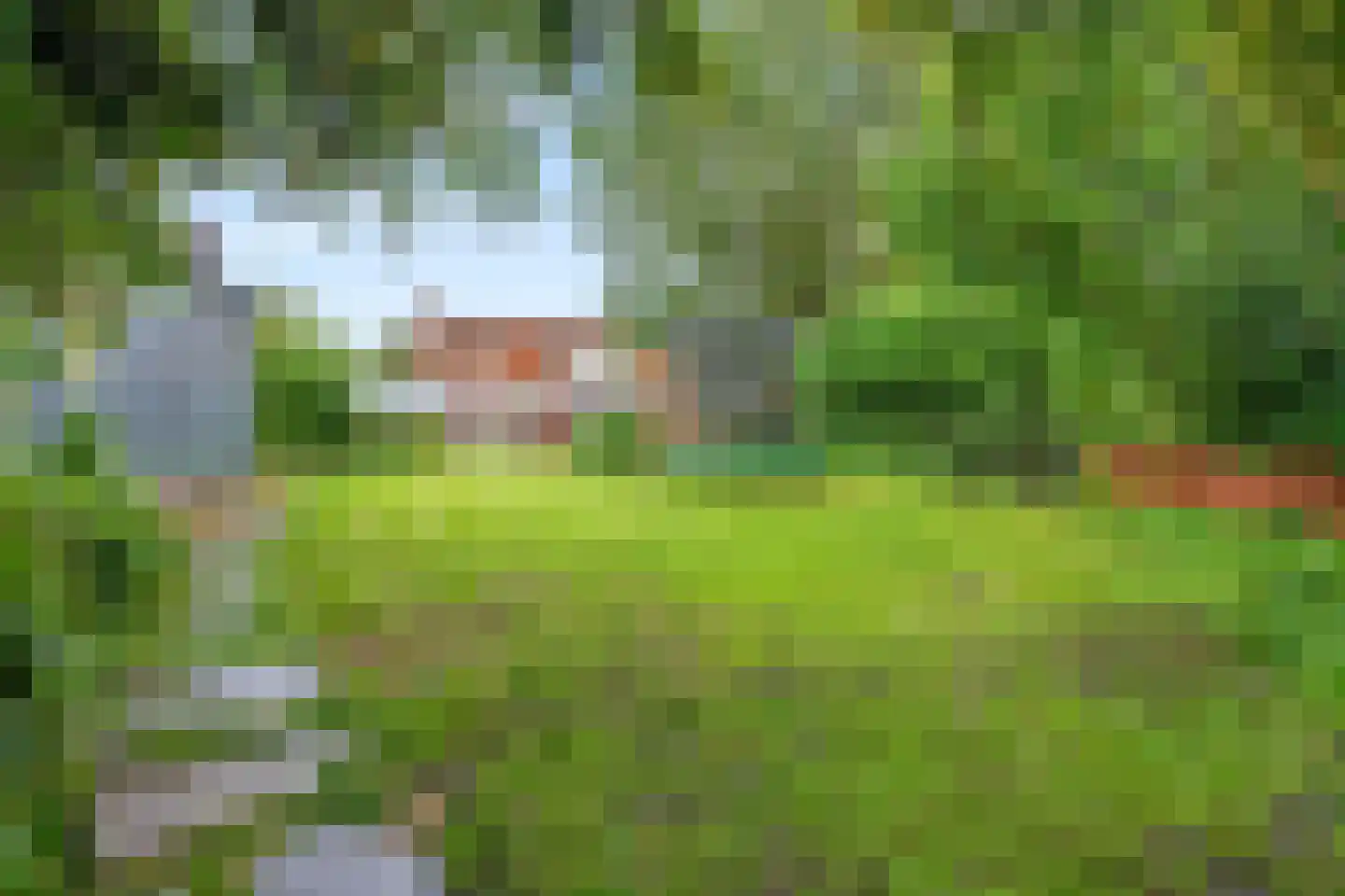 Boven Westerdiep 55 Veendam thumbnail 35