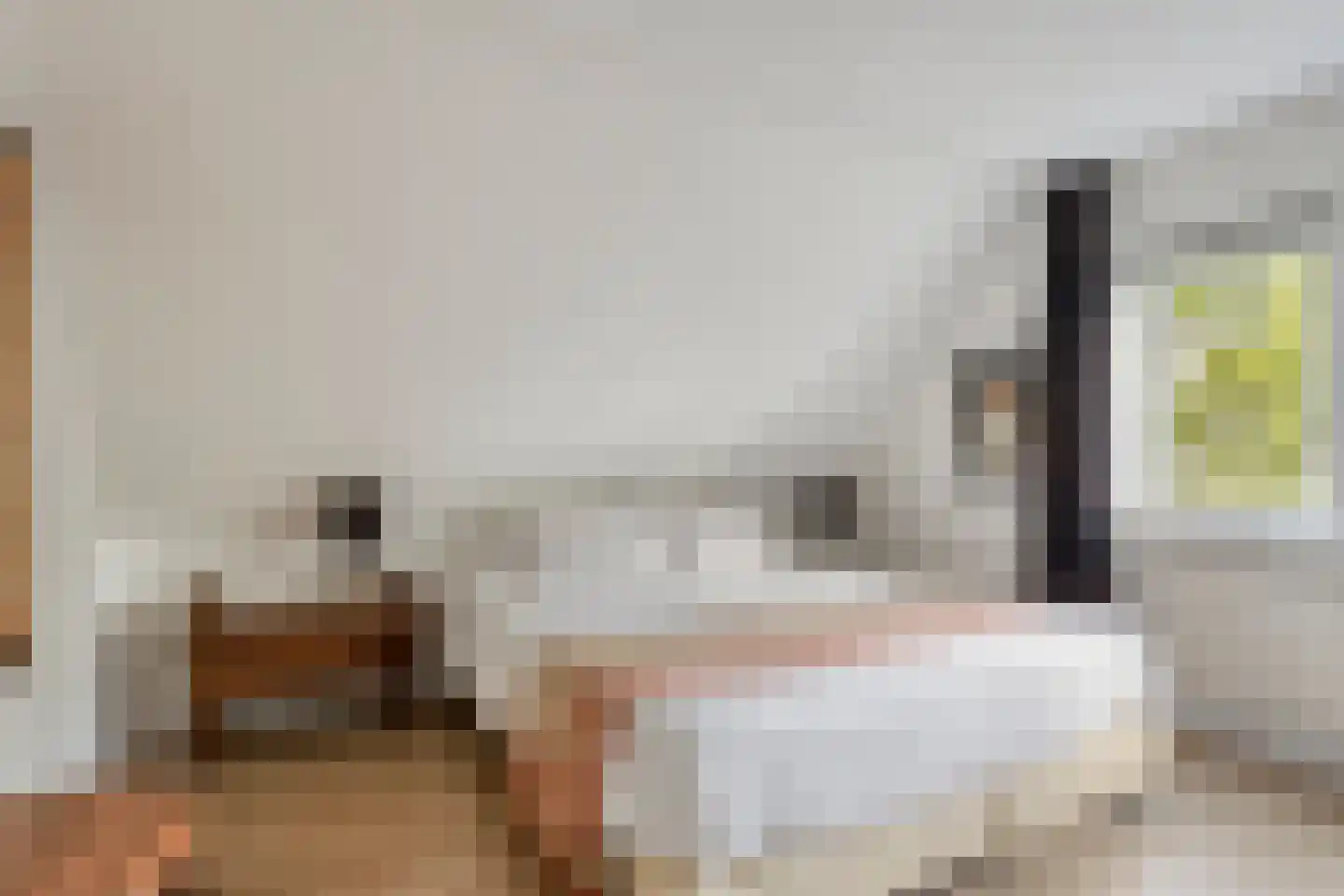 Bovenakker 1 Hoogkarspel thumbnail 30
