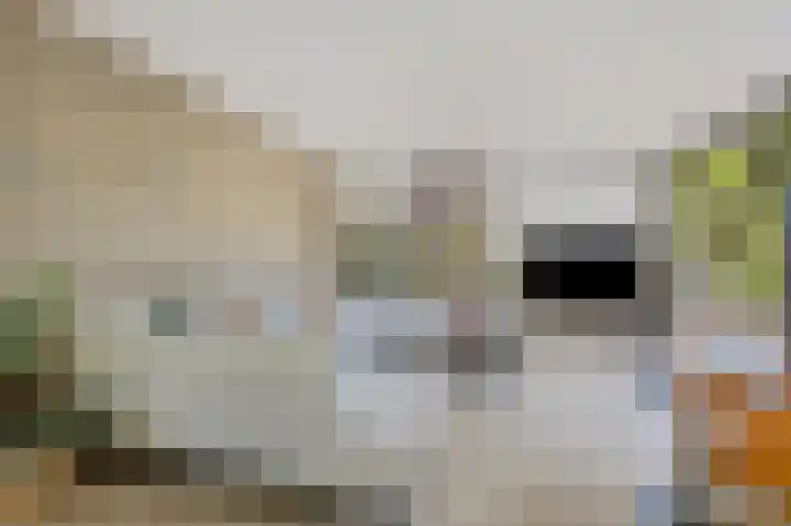 Bovenas 1 Etten-Leur thumbnail 10