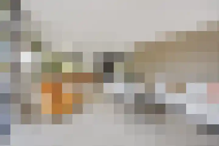 Bovenas 1 Etten-Leur thumbnail 13