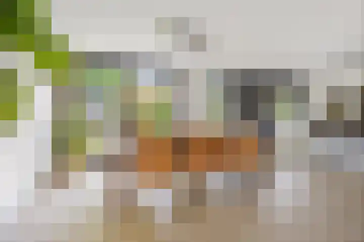 Bovenas 1 Etten-Leur thumbnail 15