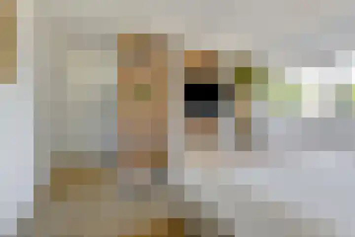 Bovenas 1 Etten-Leur thumbnail 28