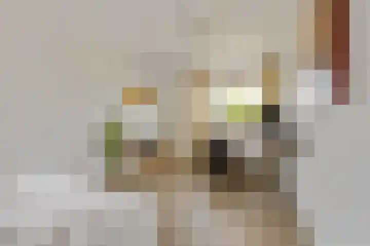 Bovenas 1 Etten-Leur thumbnail 32