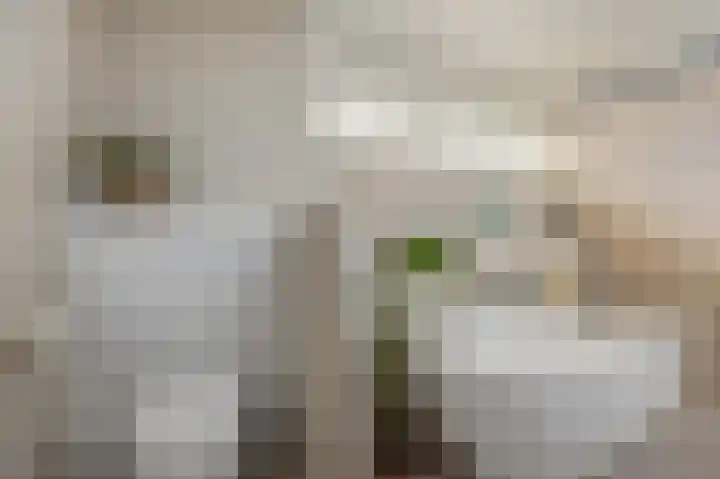 Bovenas 1 Etten-Leur thumbnail 35