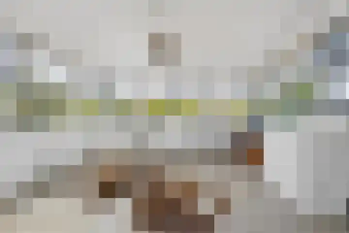 Bovenas 1 Etten-Leur thumbnail 43