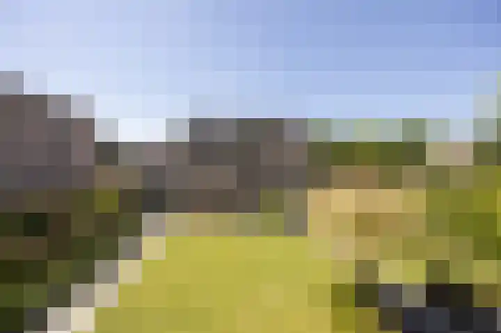 Bovenas 1 Etten-Leur thumbnail 50