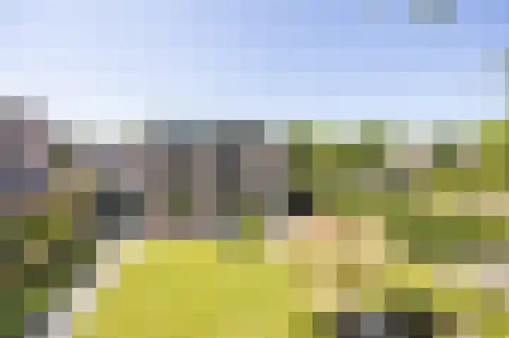 Bovenas 1 Etten-Leur thumbnail 51