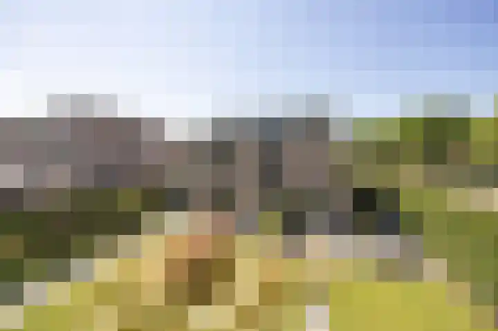 Bovenas 1 Etten-Leur thumbnail 52
