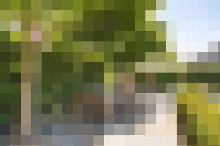 Bovenas 1 Etten-Leur thumbnail 53