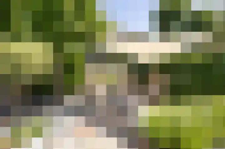 Bovenas 1 Etten-Leur thumbnail 54