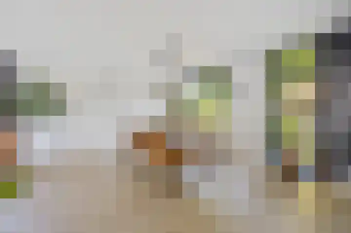 Bovenas 1 Etten-Leur thumbnail 8