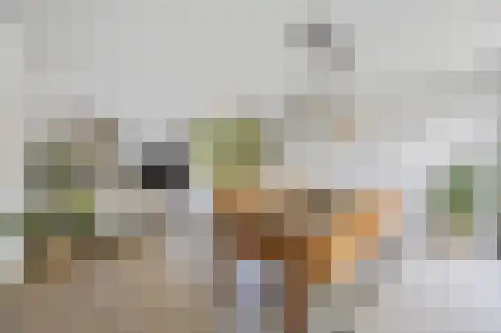 Bovenas 1 Etten-Leur thumbnail 9