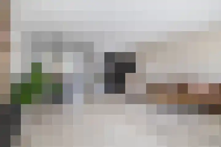 Bovenas 10 Moerkapelle thumbnail 10