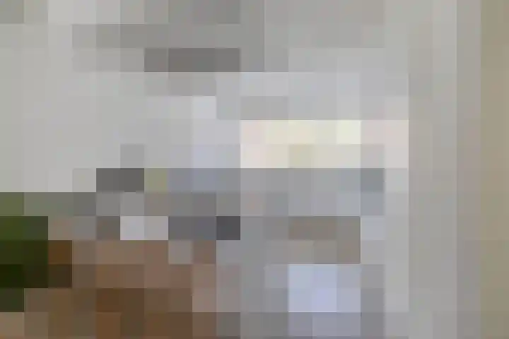 Bovenas 10 Moerkapelle thumbnail 12