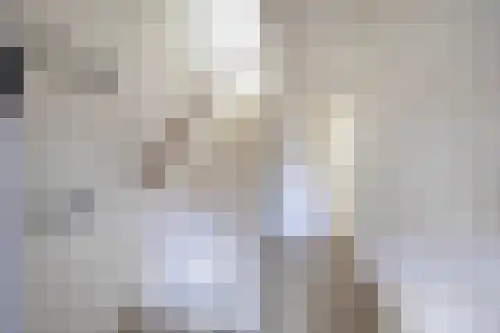 Bovenas 10 Moerkapelle thumbnail 16